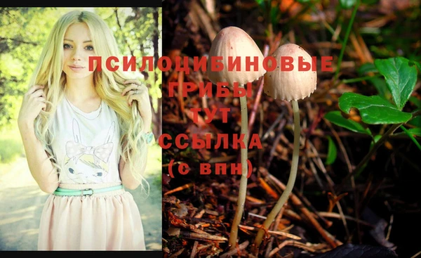 гидропоника Наволоки