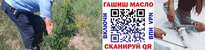 блэк спрут зеркало  Истра  ТГК концентрат 