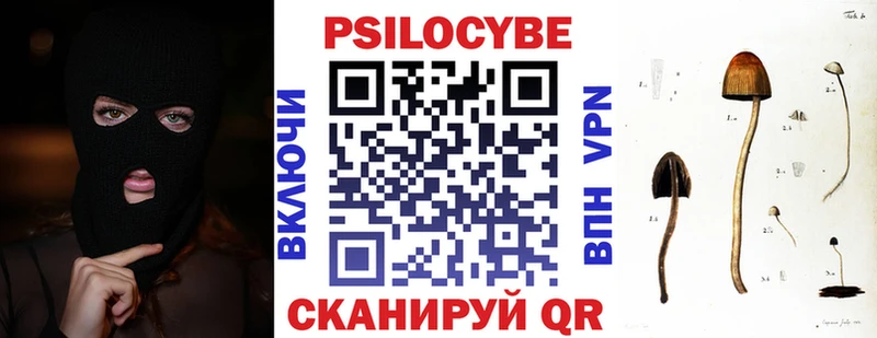Псилоцибиновые грибы Psilocybe  купить   shop телеграм  Истра 