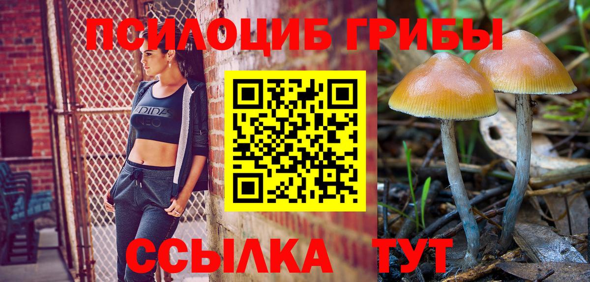 Псилоцибиновые грибы Cubensis  Псилоцибиновые грибы прущие грибы  Истра  Вход с VPN 