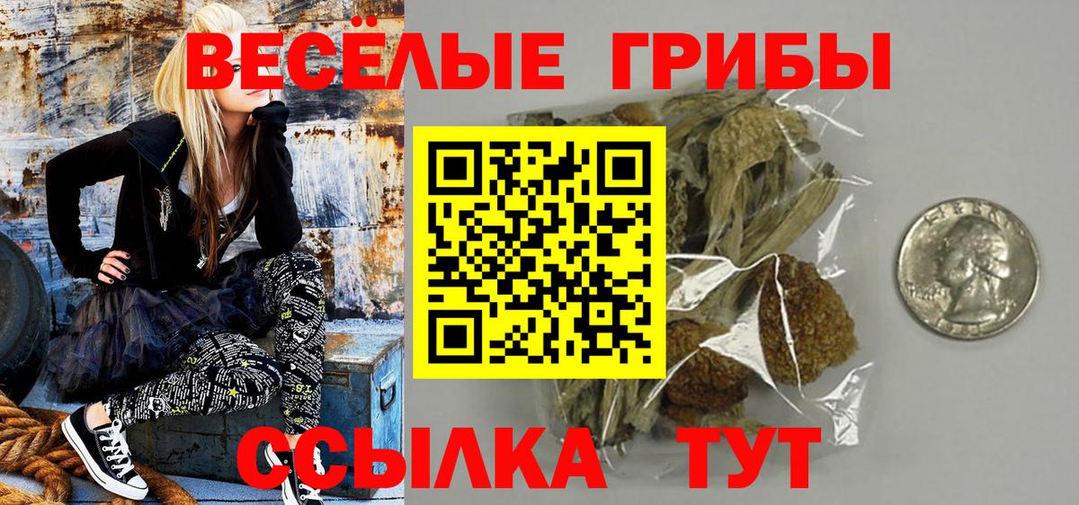 Галлюциногенные грибы мухоморы Истра