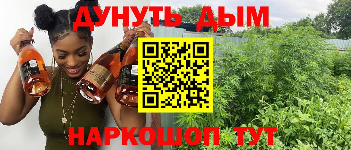 Канабис Ganja Истра
